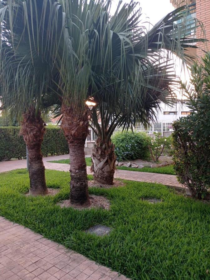 Apartamento Pilar Solo Familias Gandía Buitenkant foto